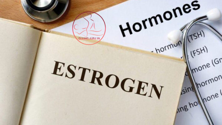 2. Estrogen có vai trò gì?